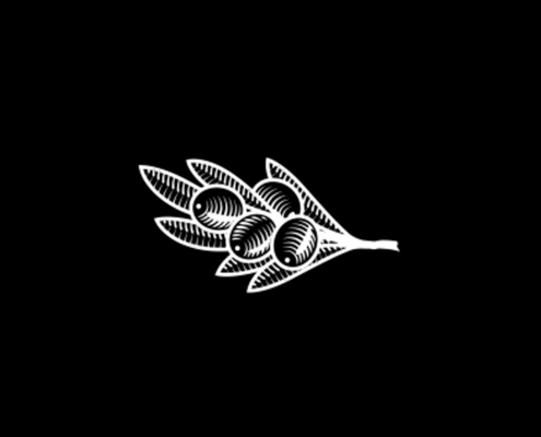 Bildschirmfoto 2026-02-16 um 11.22.58